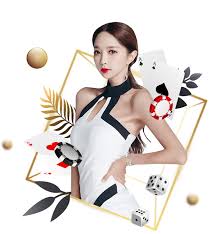 星空综合在线登录客户端